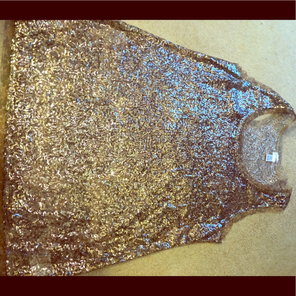 Maternity sheer sequin tank.